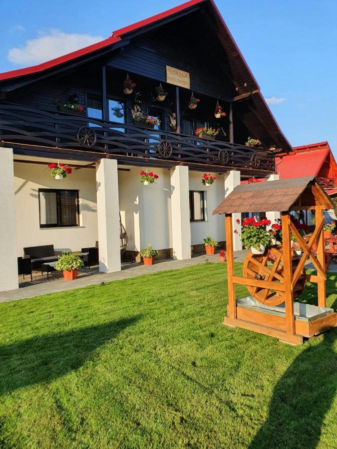 Casa Alexandru - Locul In Care Te Simti Acasa Hotel Viseu de Jos Exterior photo