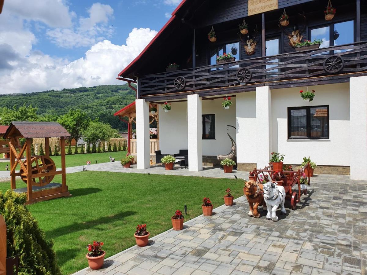 Casa Alexandru - Locul In Care Te Simti Acasa Hotel Viseu de Jos Exterior photo