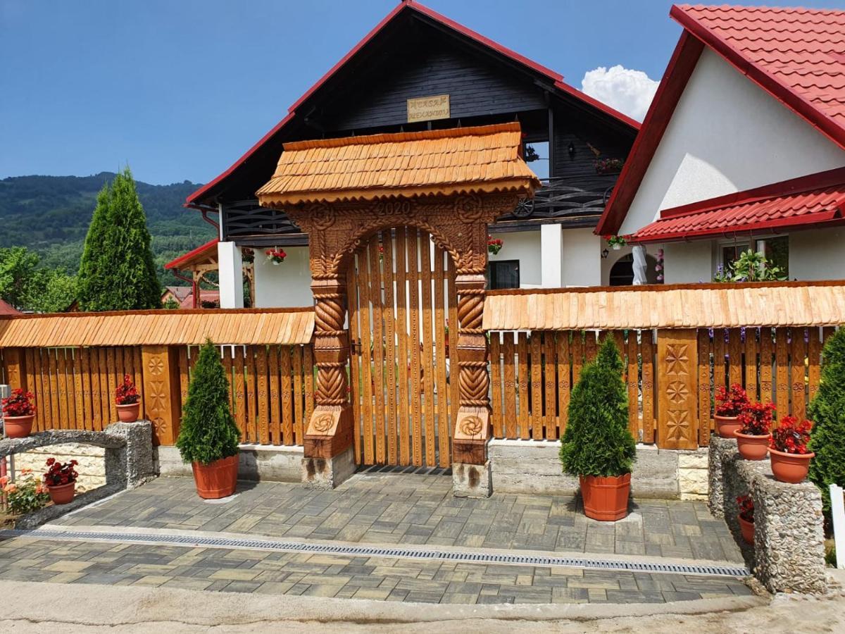 Casa Alexandru - Locul In Care Te Simti Acasa Hotel Viseu de Jos Exterior photo